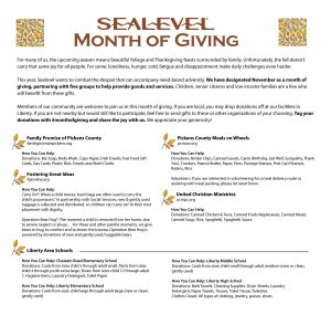 Sealevel Month of Giving