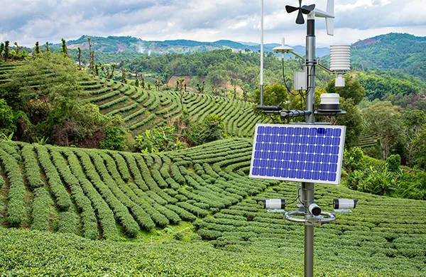 An environmental monitoring weather station in an agriculture field