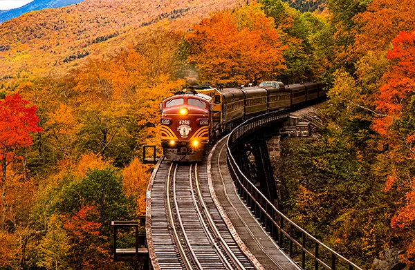 A train traveling down a track through an autumn forest